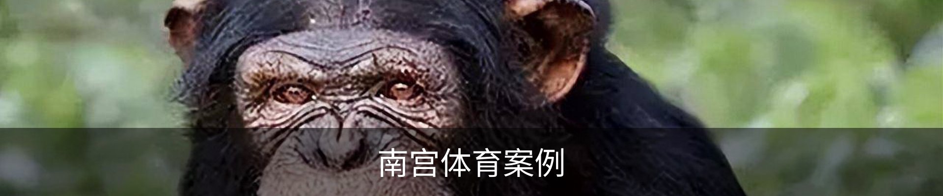 南宫体育案例