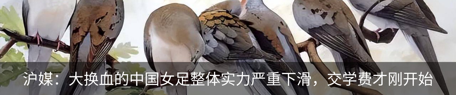 新闻动态